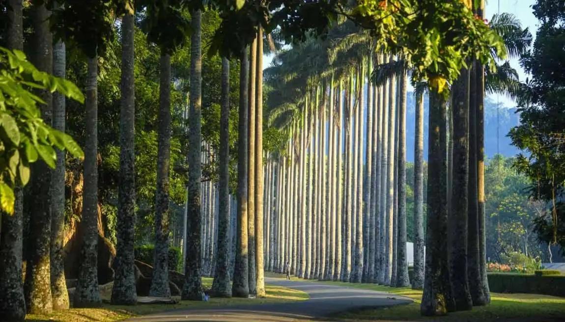 Serene Home Kandy Ngoại thất bức ảnh